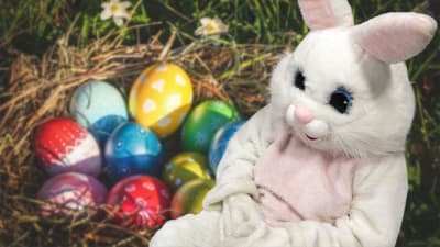 Get free photos with Easter Bunny at Bass Pro Shops and Cabela's